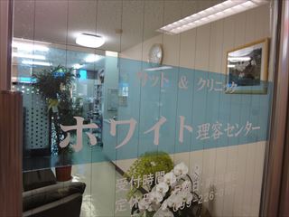 �X�^�b�t�ʐ^